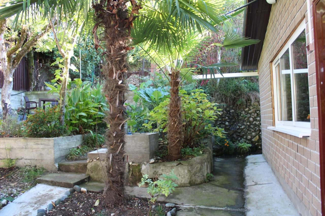 Tsikhierva Otel Gagra Dış mekan fotoğraf